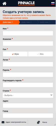Регистрационная анкета в Pinnacle