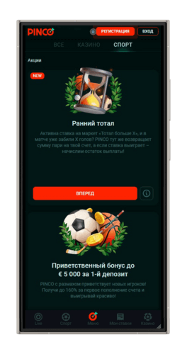 Актуальные бонусные программы в конторе PINCO